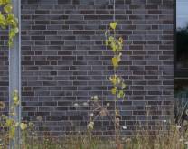 Lise-Meitner-Straße 2, 24941 Flensburg - Thumbnail 5